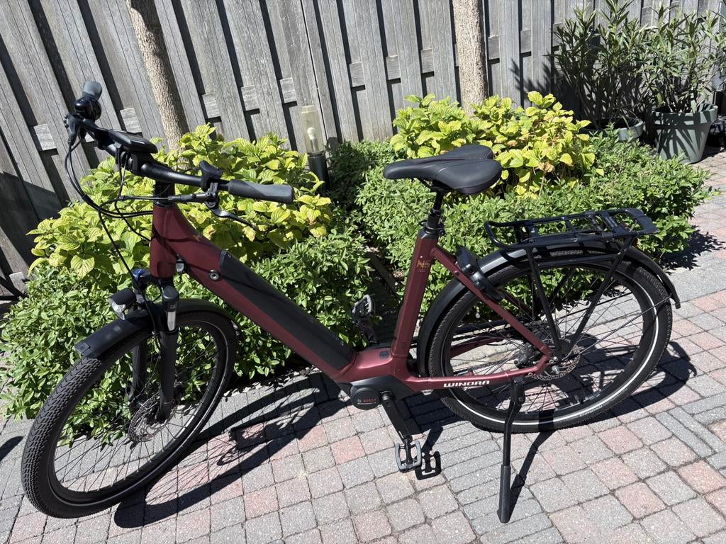 WINORA E-bike Sinus N5F frame 54 maroon red, 51 tot 55 cm, Ophalen, Zo goed als nieuw, Overige merken