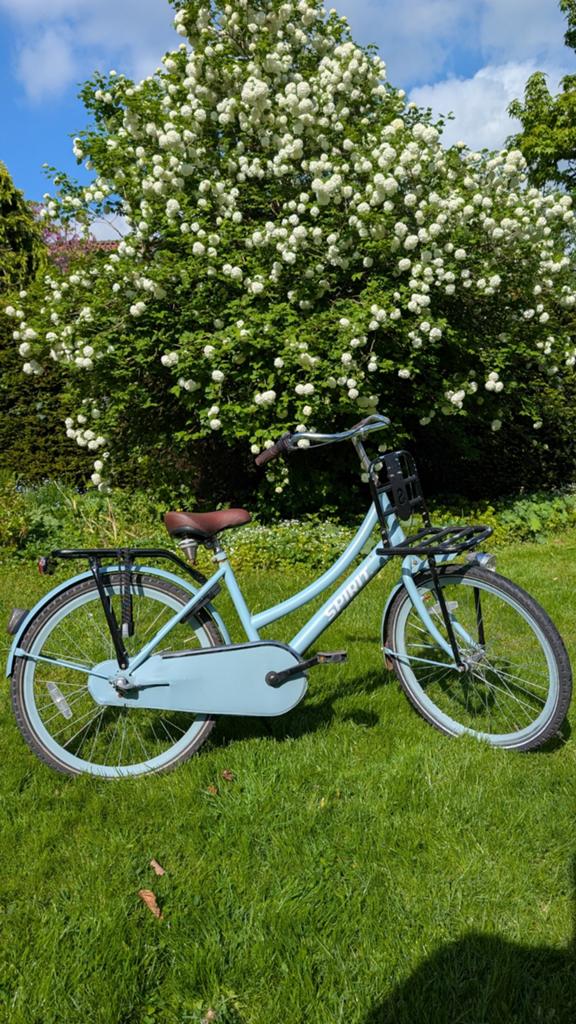 Spirit transportfiets meisjesfiets met voordrager, Terugtraprem, Gebruikt, Versnellingen, 50 tot 53 cm