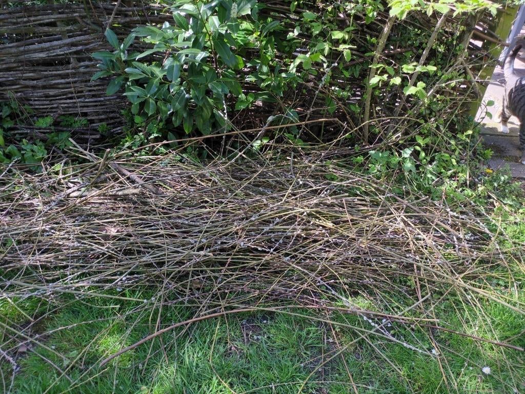 Wilgentakken / wilgentenen, Tuin en Terras, Ophalen