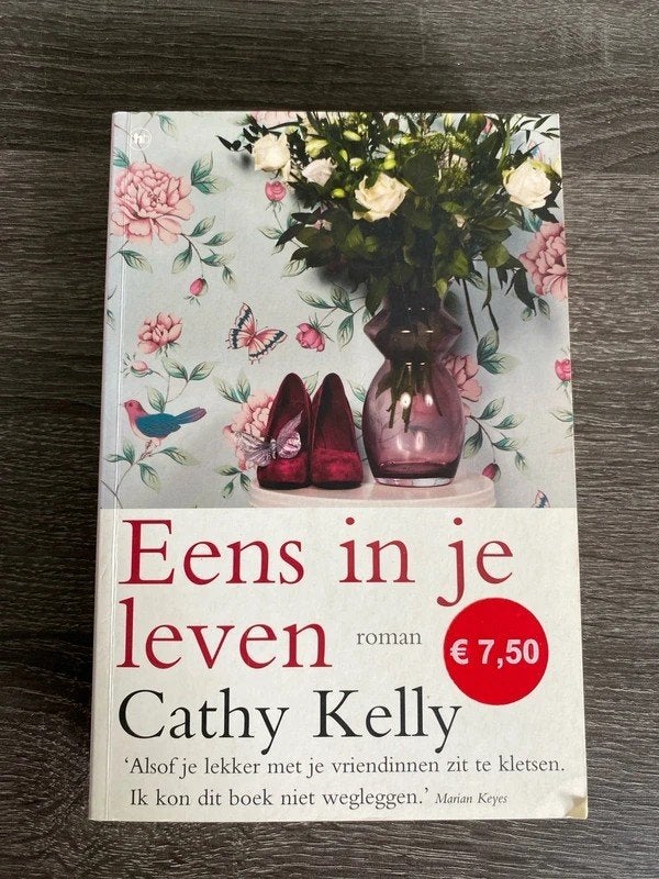 Eens in je leven - Cathy Kelly (roman), Boeken, Ophalen of Verzenden, Zo goed als nieuw, Cathy Kelly, Europa overig