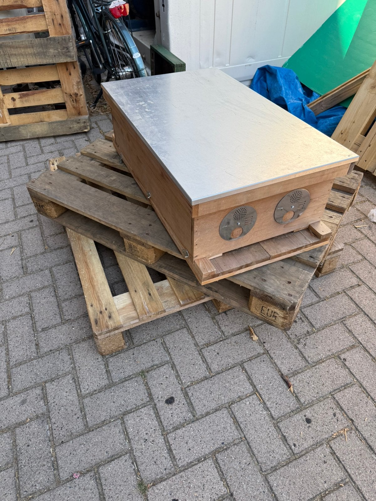 TOP kast, Dieren en Toebehoren, Insecten en Spinnen, Bijen
