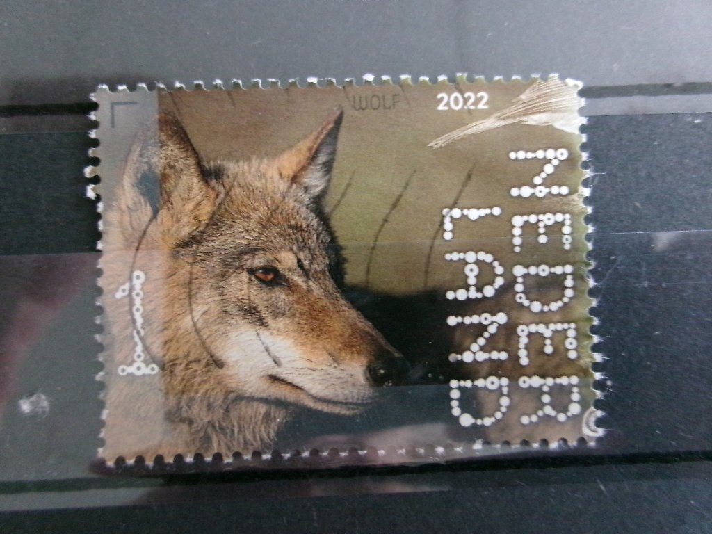 2022 - beleef de natuur wolf (989f), Postzegels en Munten, Verzenden, Gestempeld