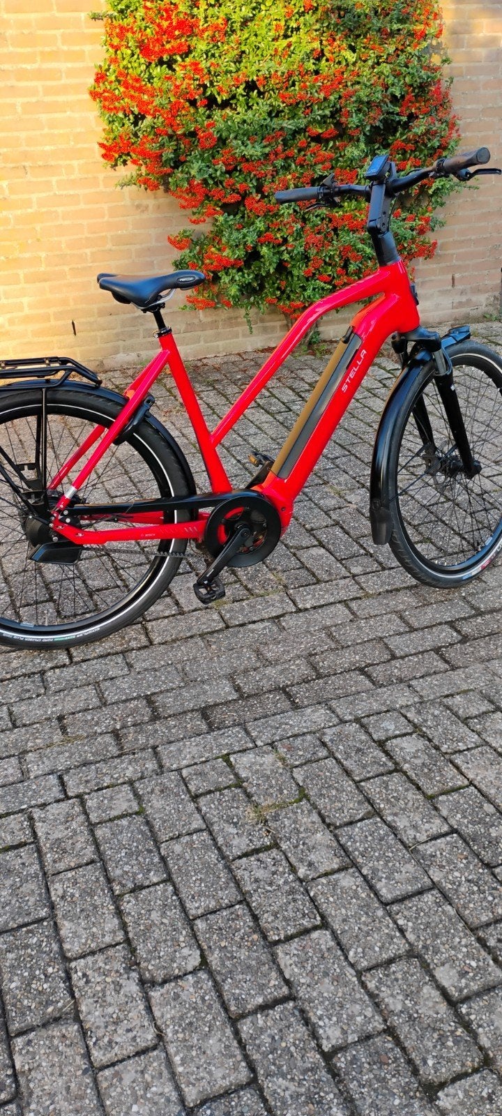 Stella Morena E-bike 2023 Bosch Performance CX 500Wh, Ophalen of Verzenden