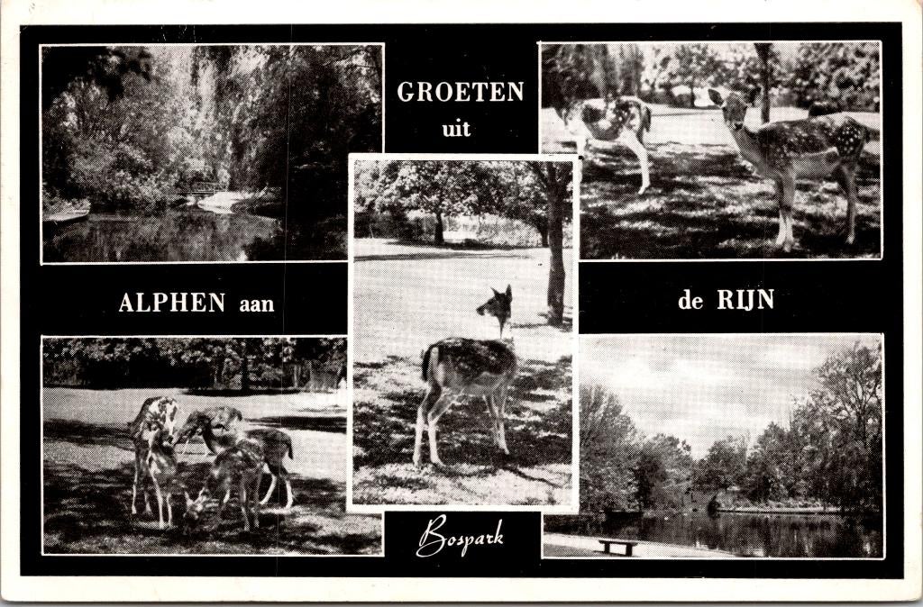 Alphen aan de RIjn - 8 ansichtkaarten, Verzenden, 1960 tot 1980, Gelopen, Zuid-Holland