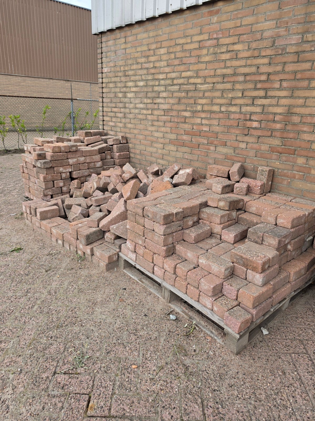 Gebruikte bakstenen voor tuin of bestrating, Ophalen of Verzenden, Gebruikt, Bakstenen