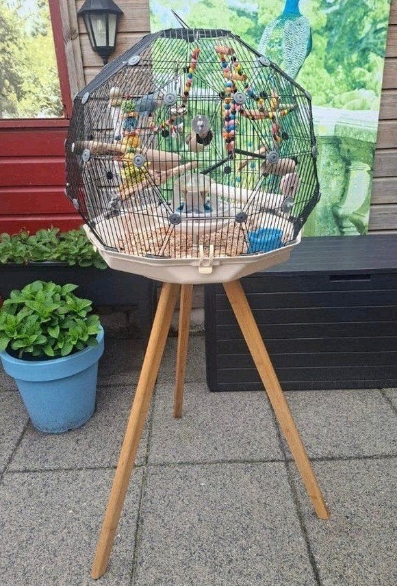 Mooie geo omlet, Dieren en Toebehoren, Ophalen, Zo goed als nieuw, Vogelkooi