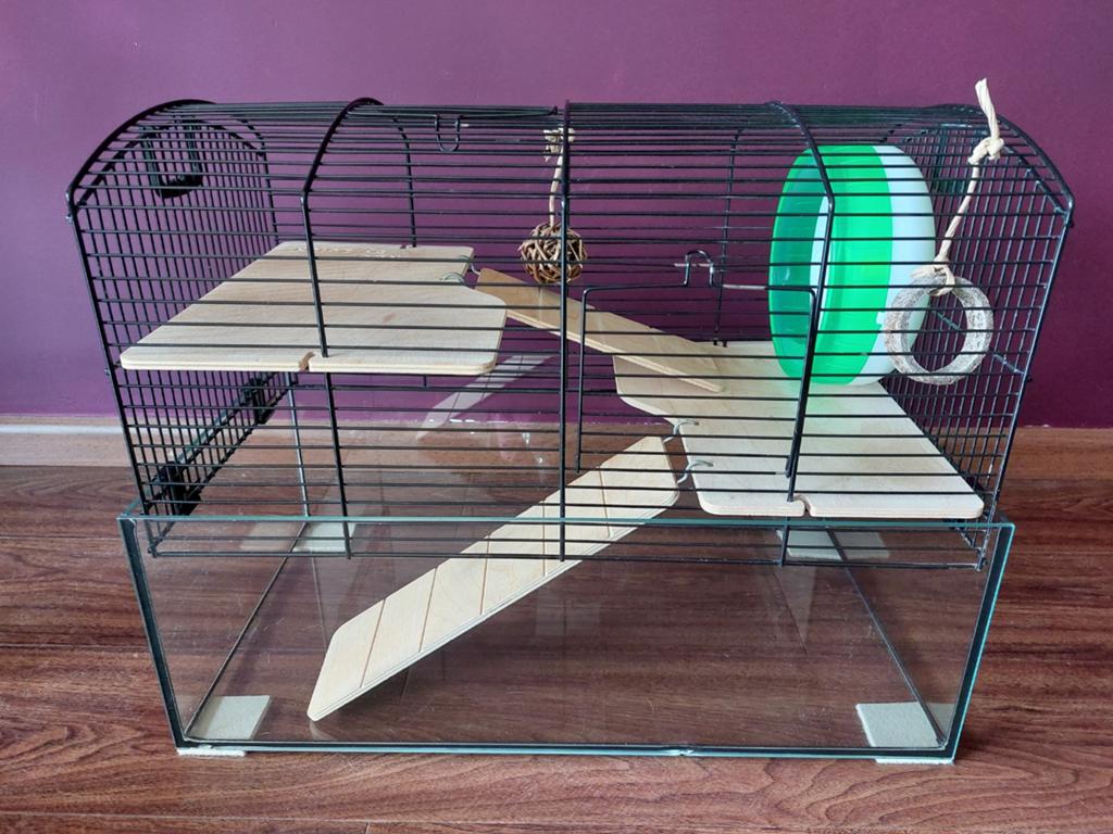 Complete hamsterkooi met veel accessoires!, Dieren en Toebehoren, Gebruikt, Minder dan 75 cm, Muis, Hok