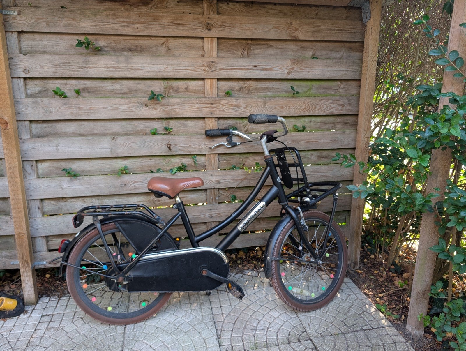Popal transporter 20 inch fiets met voordrager en kralen, Fietsen en Brommers, Ophalen, Gebruikt, Terugtraprem, Overige merken