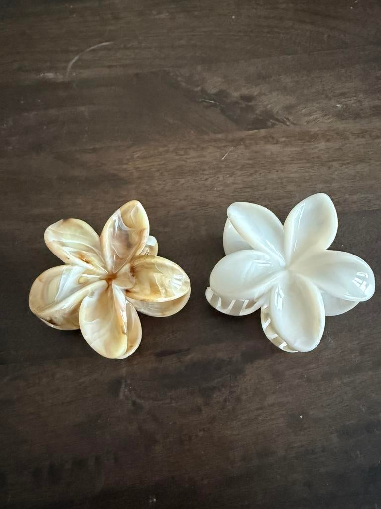 Haarklemmen bloemen bruin beige wit., Ophalen of Verzenden, Nieuw, Haarspeld