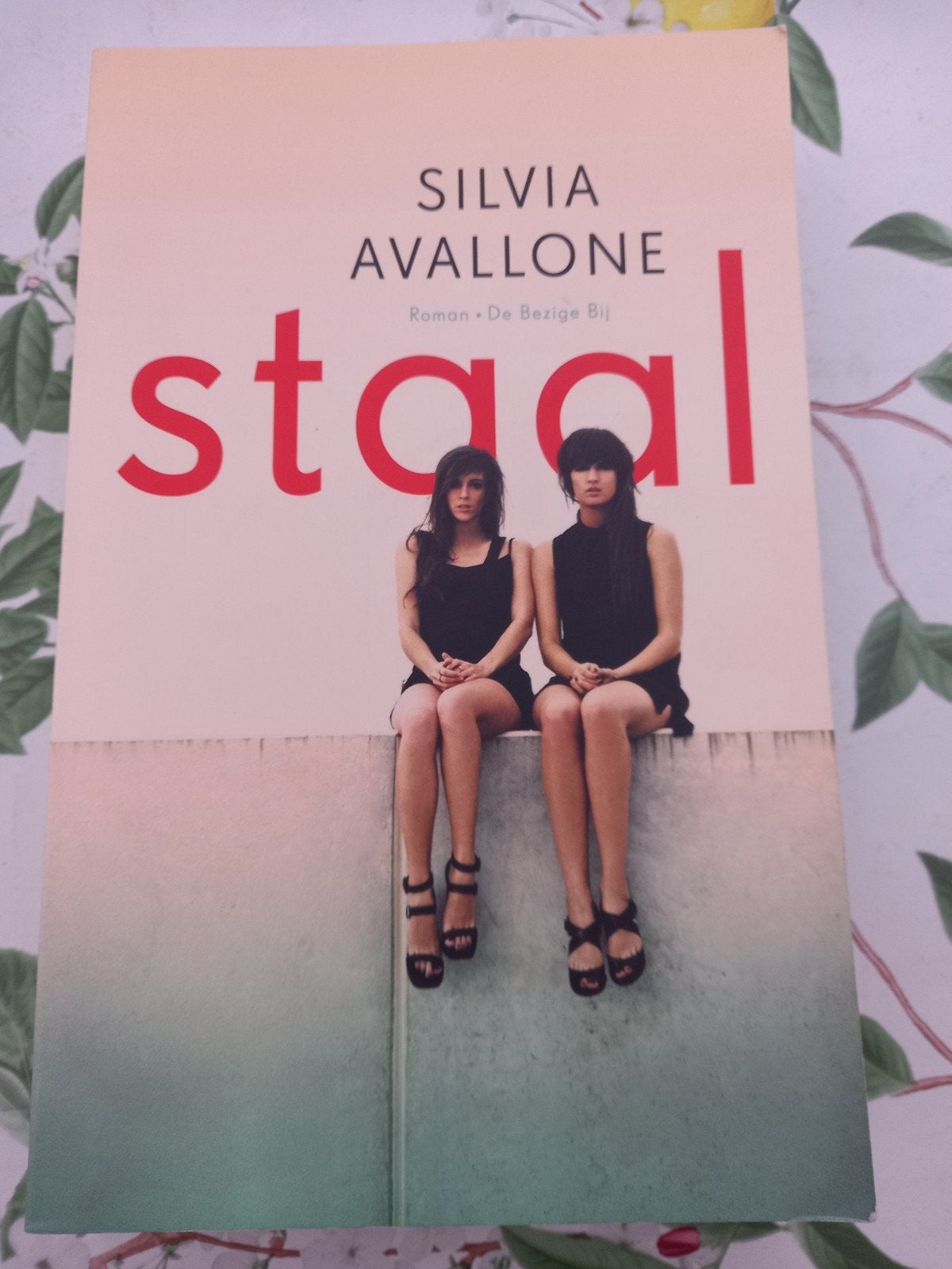 Silvia Avallone - Staal S, Gelezen, Ophalen of Verzenden, Nederland, Silvia Avallone