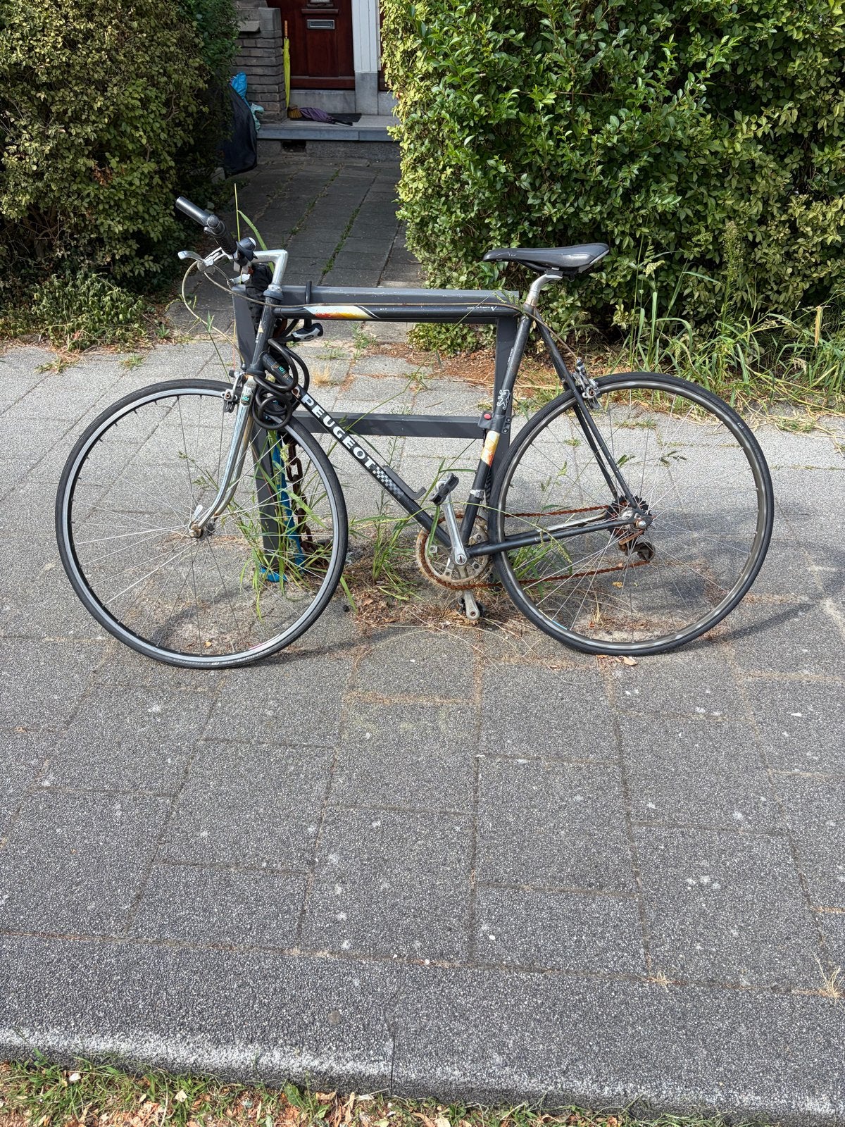 Peugeot vintage racefiets, Gebruikt, Staal, 53 tot 57 cm, Ophalen