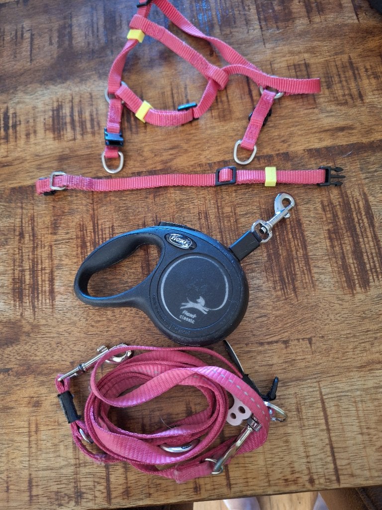 Riempjes hond, Ophalen of Verzenden, Zo goed als nieuw