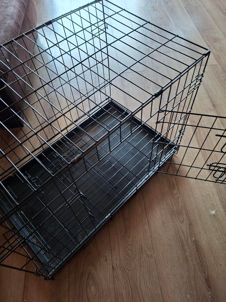 Bench hond klein te koop, Ophalen, Minder dan 75 cm, Minder dan 65 cm