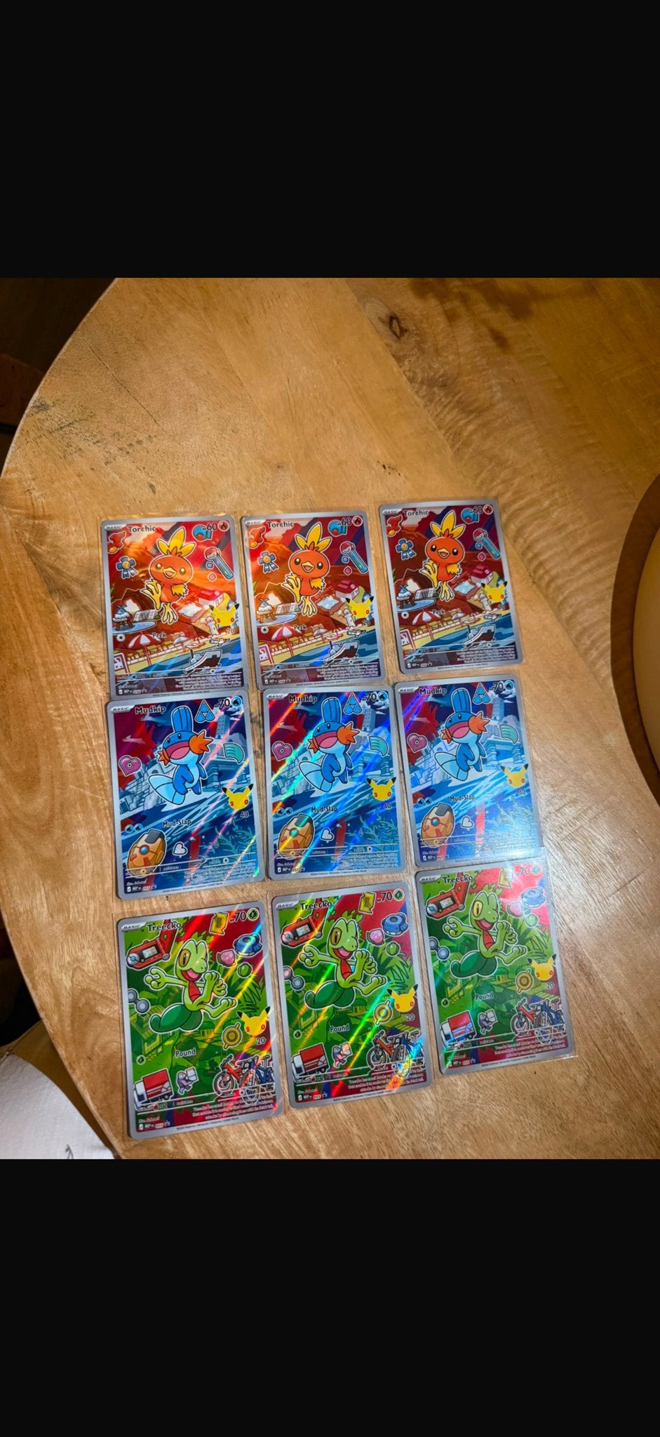 Pokémon First Partner Pack Serie 3 Mudkip,Torchic,Treecko, Ophalen of Verzenden, Zo goed als nieuw, Losse kaart
