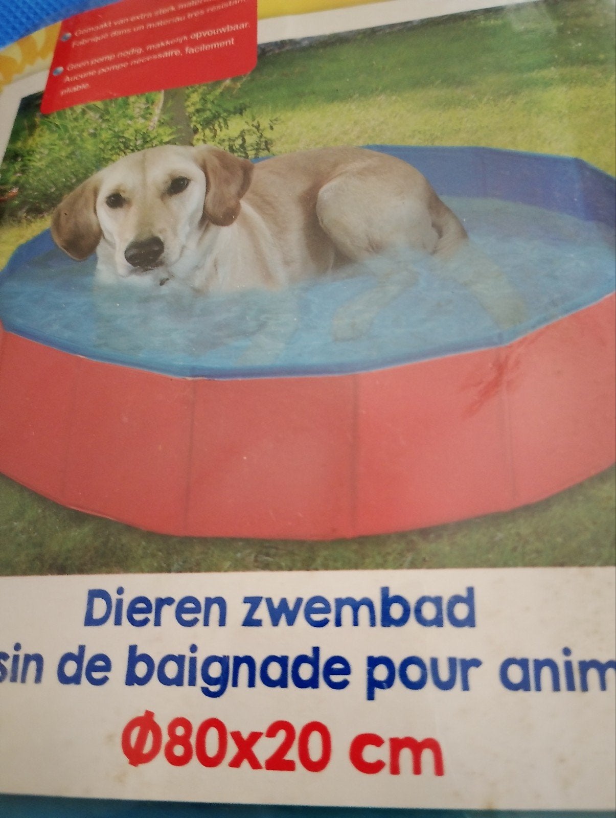 Dieren zwembad nooit gebruikt, Ophalen of Verzenden, Nieuw