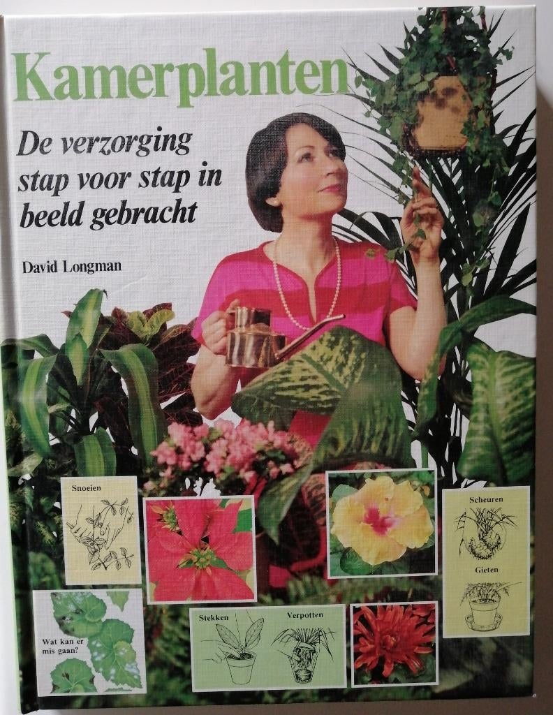 boek Kamerplanten  / De verzorging stap voor stap., Gelezen, David Longman, Ophalen of Verzenden, Kamerplanten
