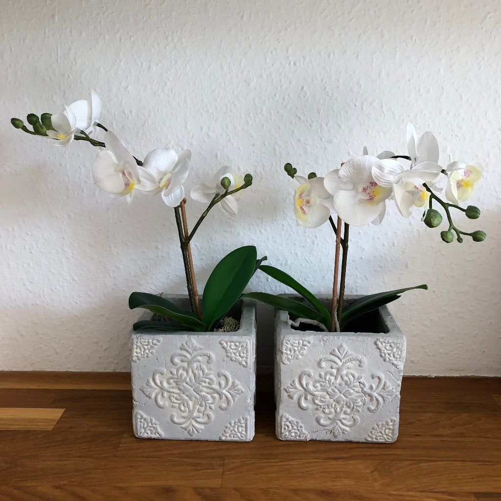 Orchidee kunstplant Set van 2, Ophalen, Zo goed als nieuw, 30 cm