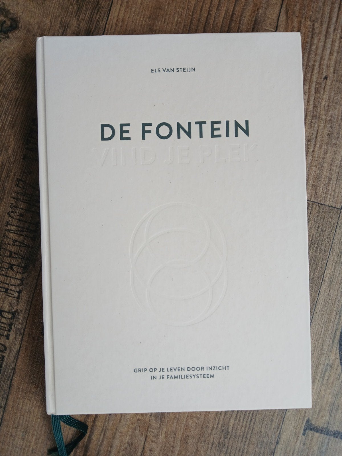 De Fontein - Vind je plek - Els van Steijn (als nieuw), Boeken, Ophalen of Verzenden, Zo goed als nieuw, Els van Steijn