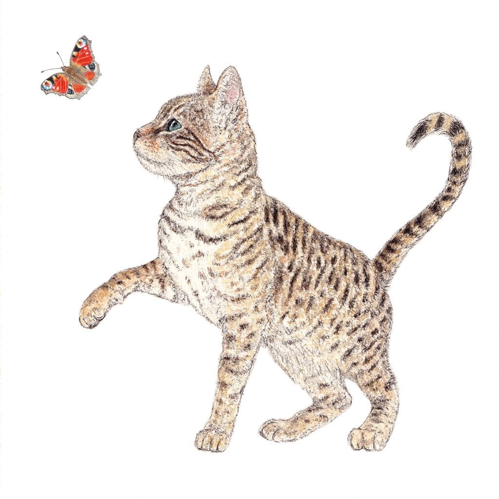 servetten per stuk Kat met vlinder hobby knutselen decoupage, Dieren, Nieuw, Meerkleurig, Ophalen of Verzenden