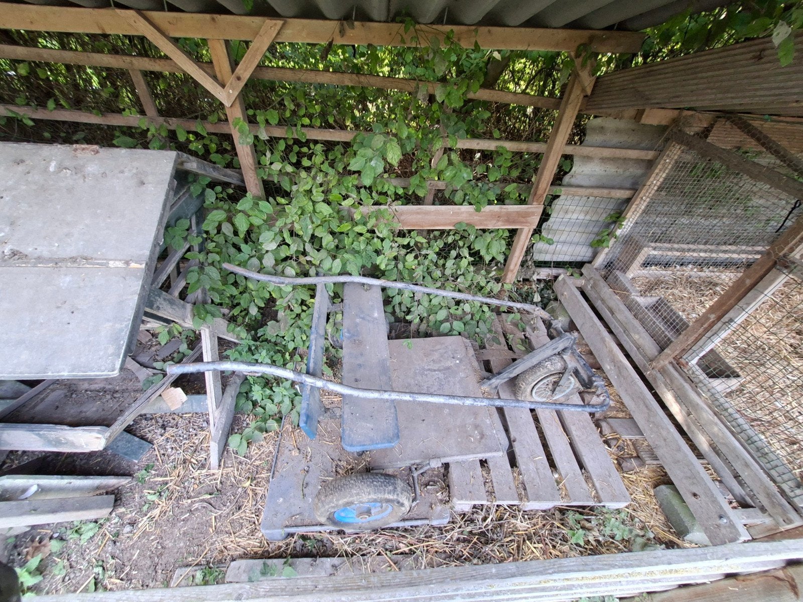 Menwagen voor shedlander paard, Ophalen, Shetlander, Gebruikt, Handgemaakt