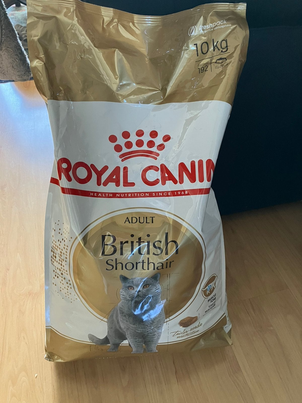 Nieuwe zak Royal Canine Britse Korthaar 10kg, Dieren en Toebehoren, Dierenvoeding, Ophalen of Verzenden, Kat