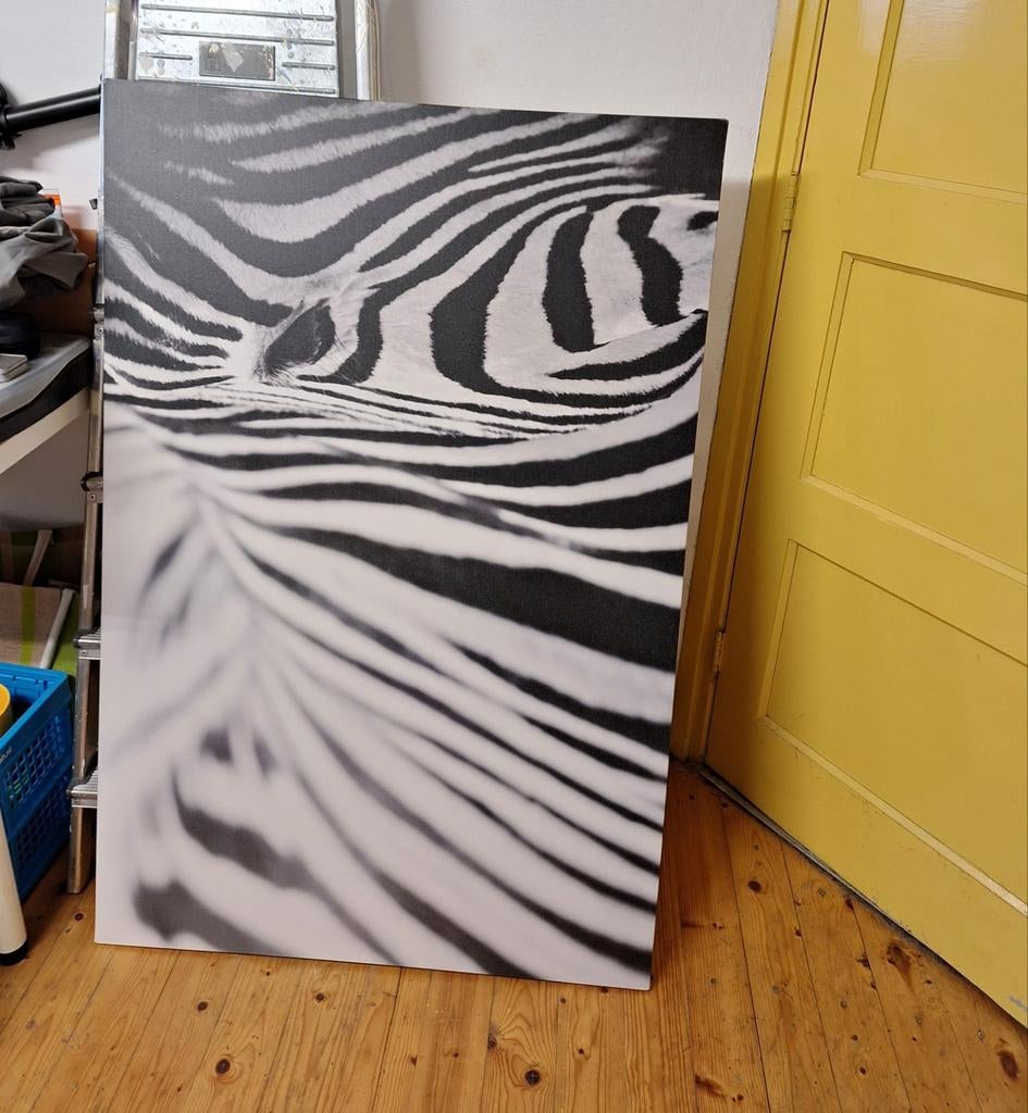 Schilderij Zebra - Zwart-wit canvas, Ophalen