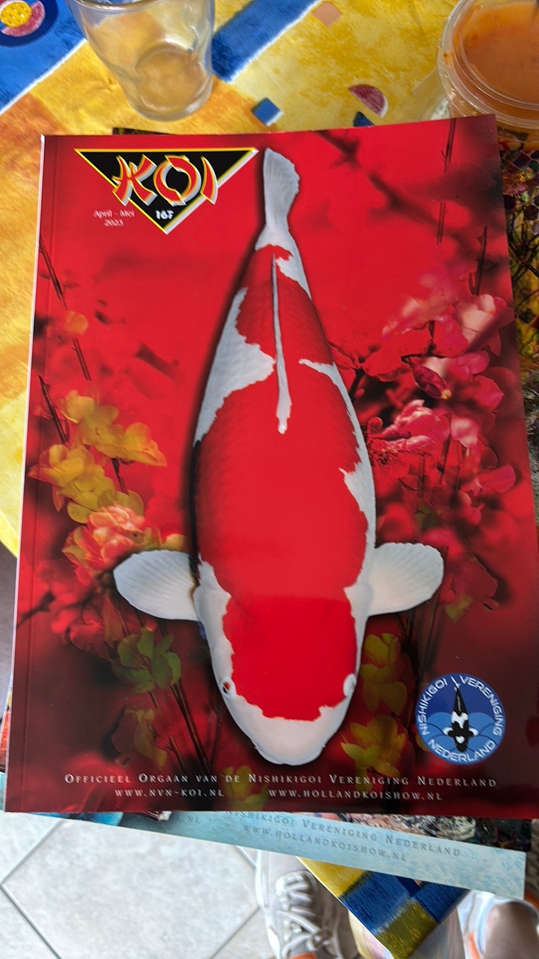 Boek koi, Karper of Koi