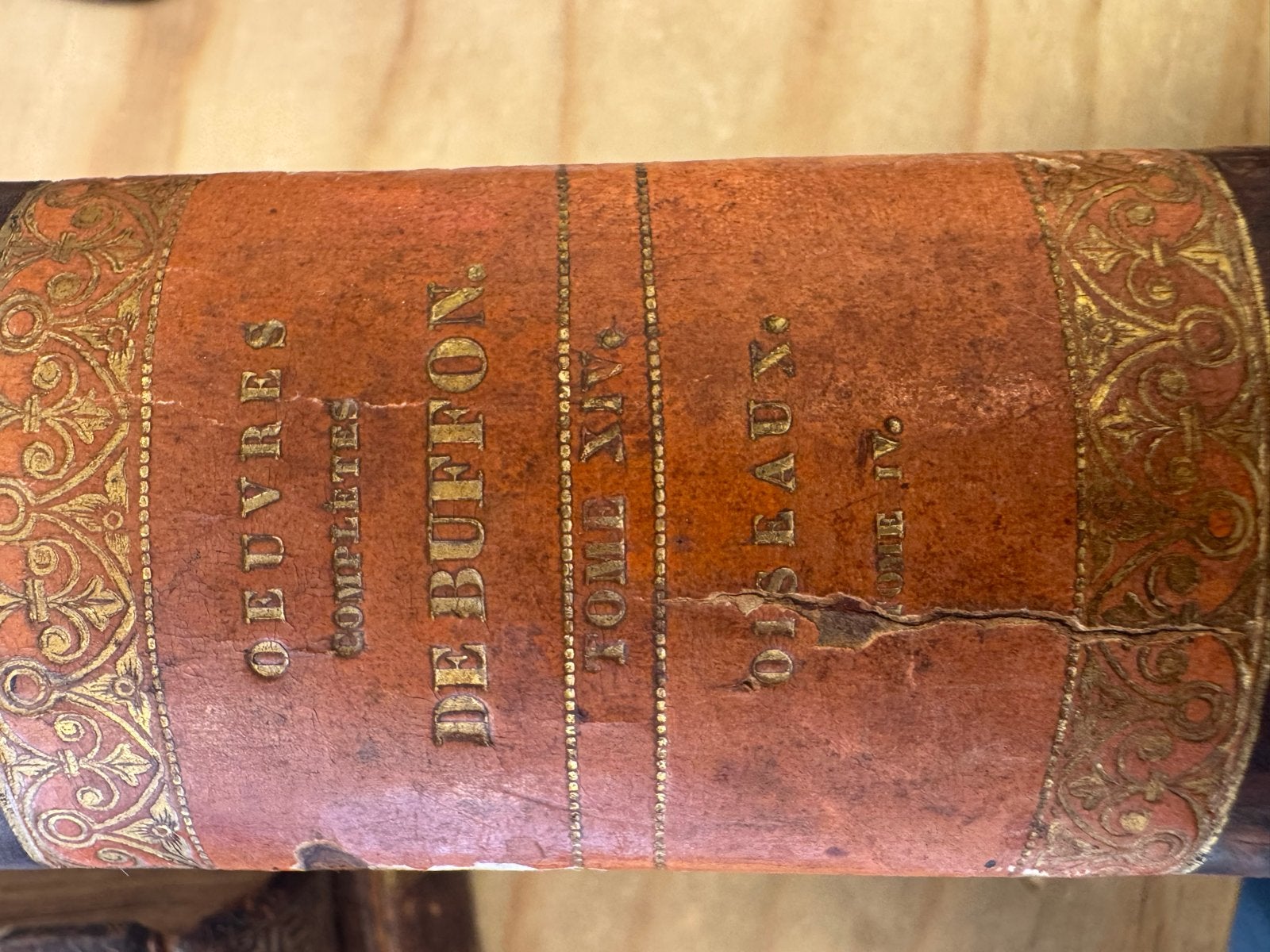 Uit 1828! Buffon, Oeuvres Complète gekleurde illustr, Antiek en Kunst, Antiek | Boeken en Bijbels, Ophalen of Verzenden