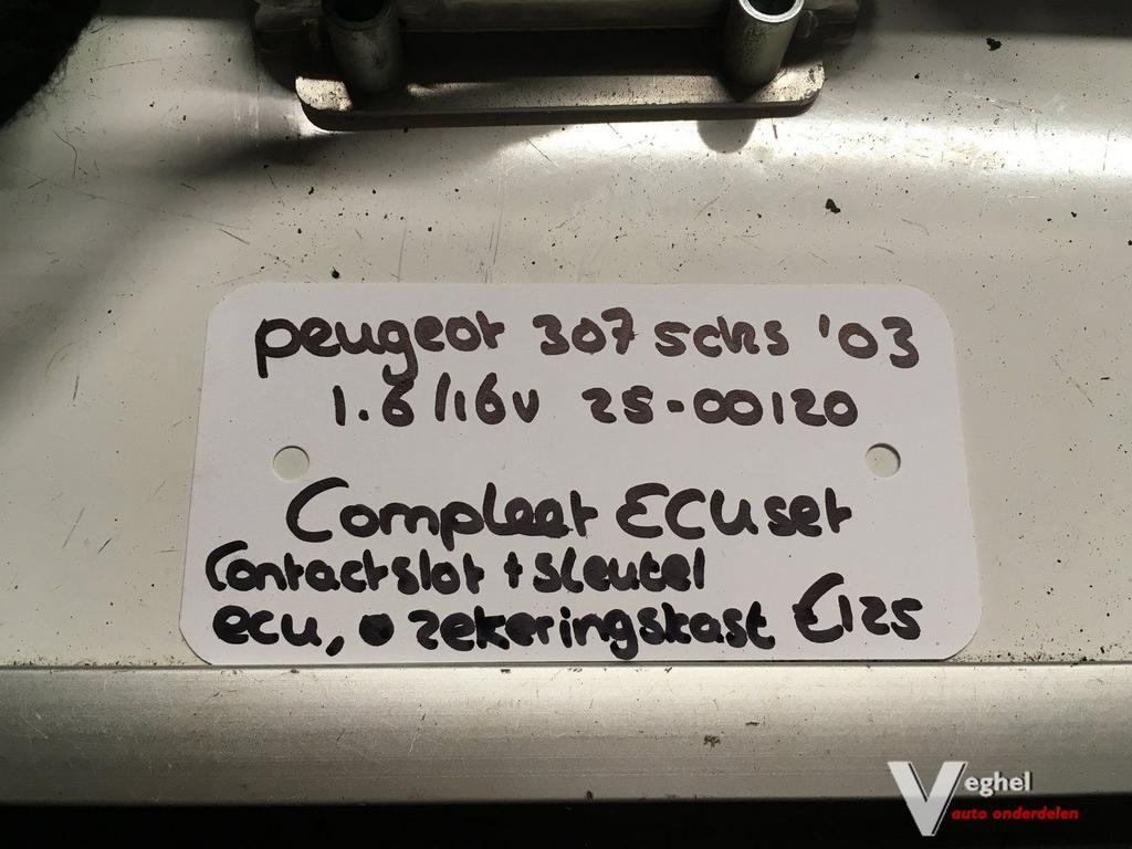 Peugeot 307 1.6 16v 5drs 2003 2500120 ECU set, Auto-onderdelen, Gebruikt, -, -, Ophalen of Verzenden
