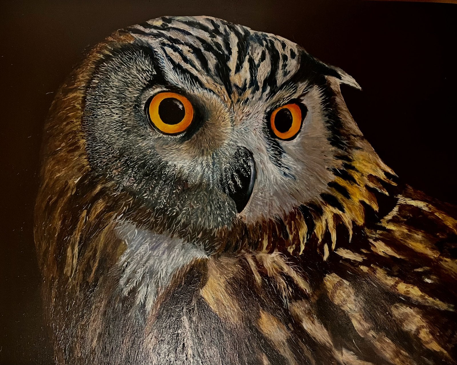 Olieverf schilderij met uil, Ophalen of Verzenden, Hout, Olieverf, Dieren