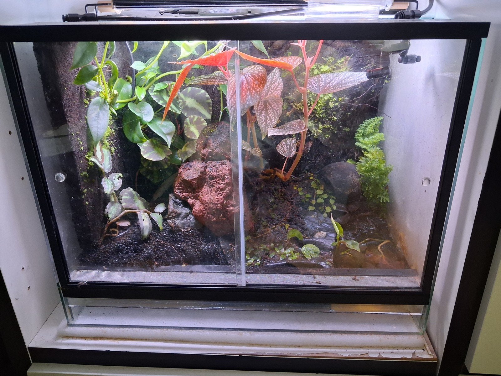 terrarium 50x40x40, Ophalen