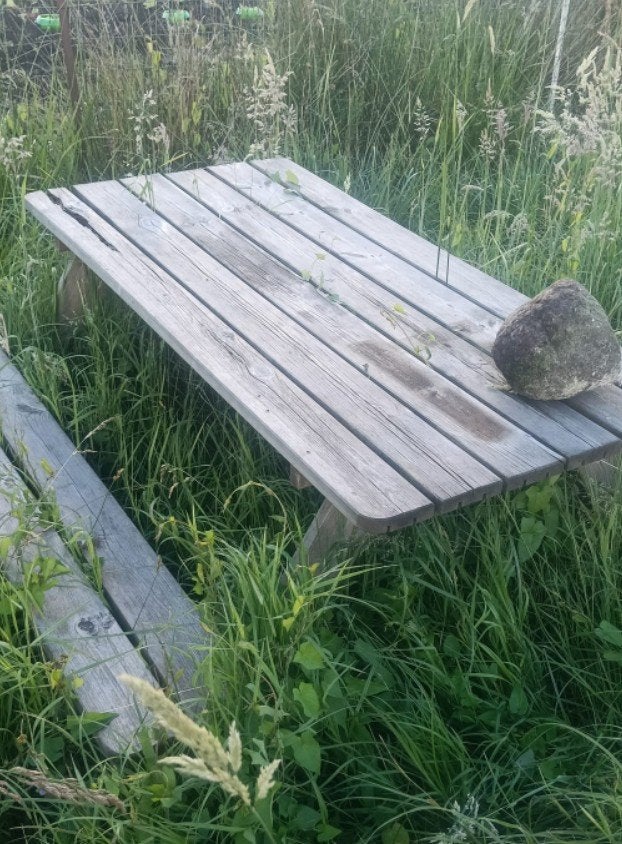 Tuintafel / picknicktafel, Tuin en Terras, Ophalen of Verzenden, Rechthoekig, Hout