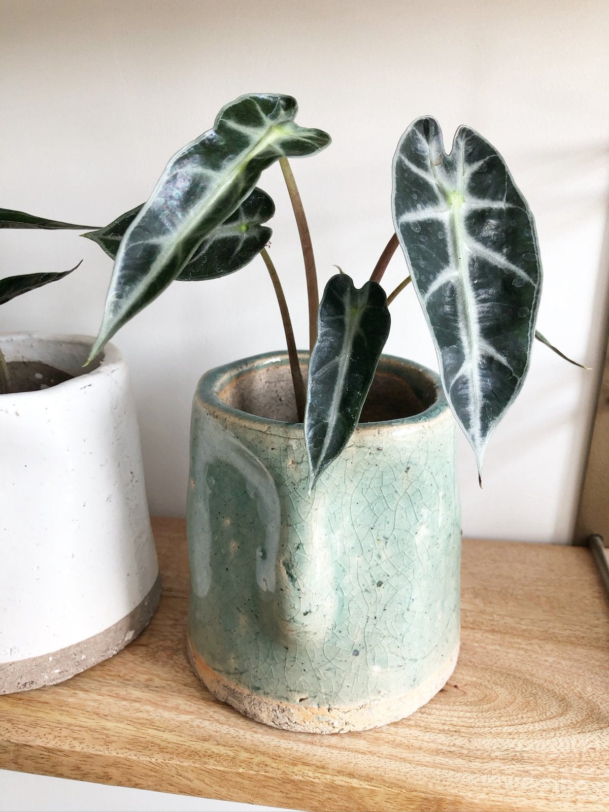 Nieuwe groene bloempot met gezicht, Rond, Nieuw, Ophalen of Verzenden, Aardewerk