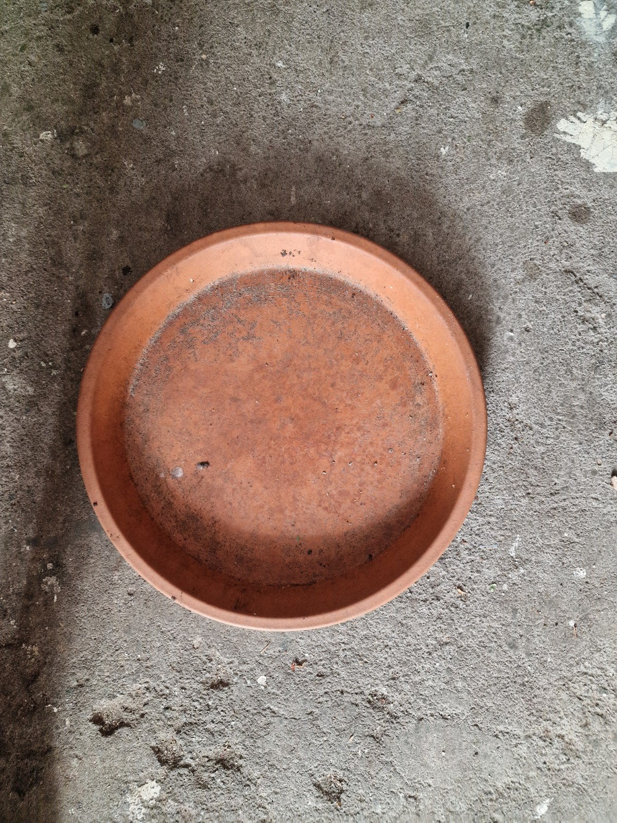 Grote schaal, Ophalen of Verzenden, Rond, Aardewerk