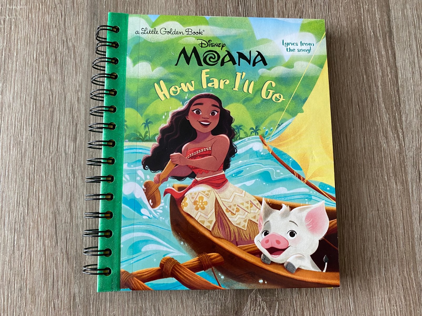 Storybook Journal- Moana, Ophalen of Verzenden, Nieuw
