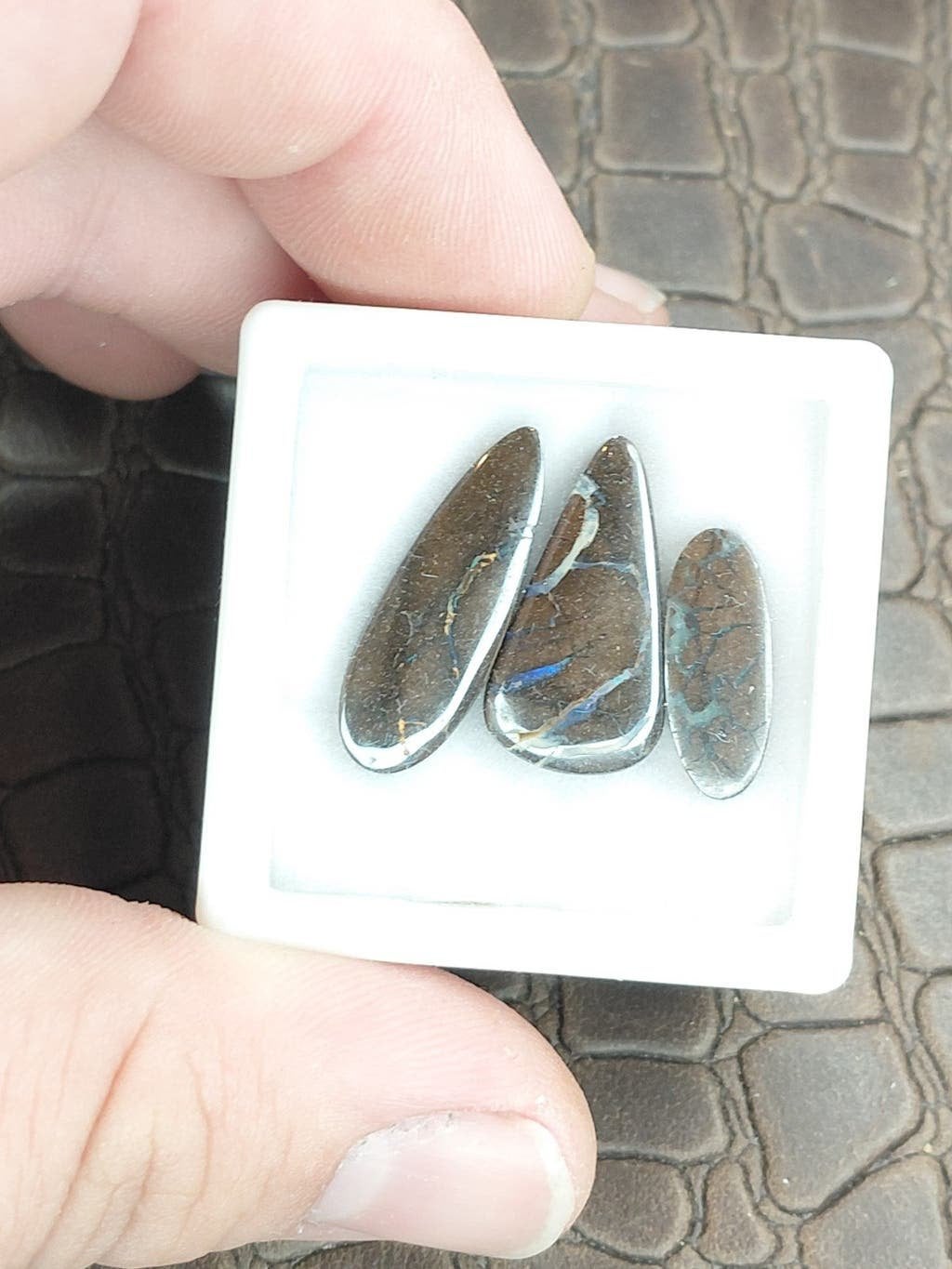 3 langwepige Queensland boulder opaal cabochons uniek, Sieraden, Tassen en Uiterlijk, Ophalen of Verzenden, Nieuw, 17 tot 18, Dame of Heer
