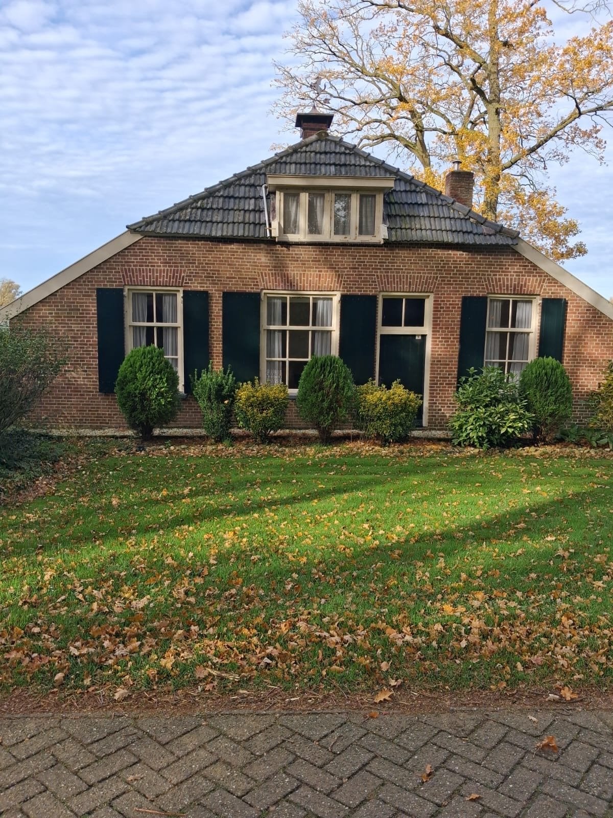 Oude gevelstenen - Authentieke bakstenen voor restauratie, Ophalen, Gebruikt, Bakstenen