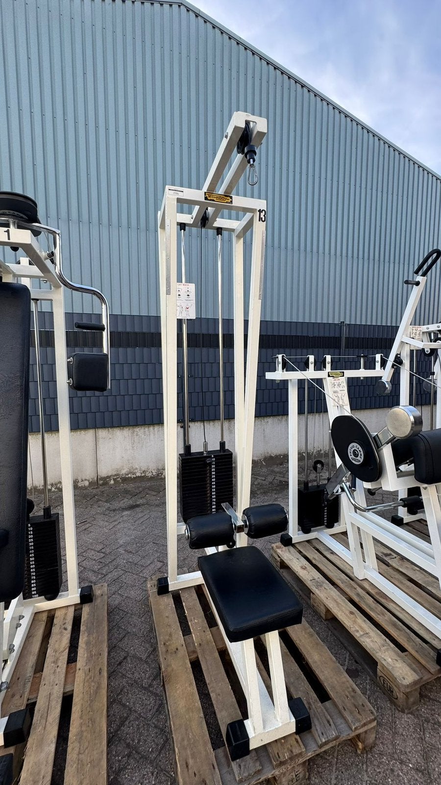 Technogym Lat Pulley met 90kg steekgewichten, Sport en Fitness, Ophalen, Gebruikt, Overige typen