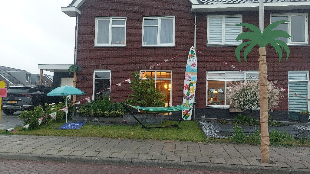 Beschilderde surfplank, Ophalen, Gebruikt, Versiering, Overige