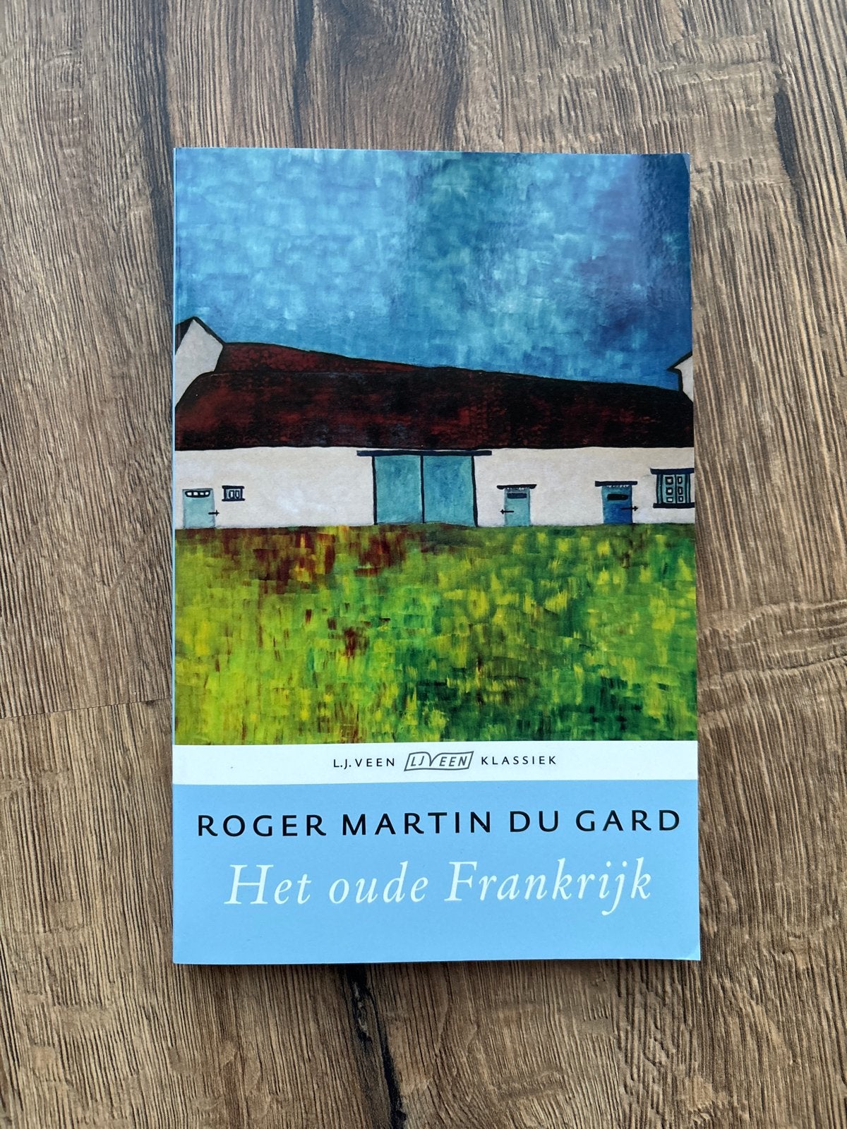 Het oude Frankrijk - Roger Martin du Gard, Boeken, Ophalen of Verzenden, Zo goed als nieuw, Europa overig