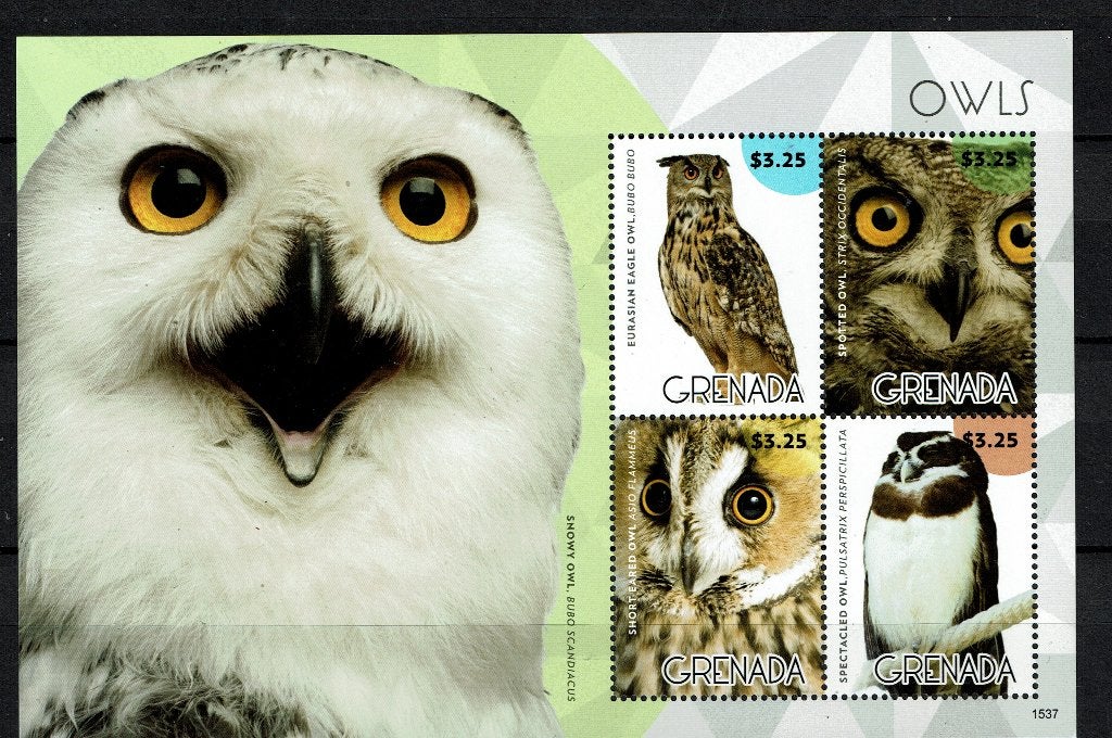 GRENADA 2015 PF BLOK UILEN OWLS VOGELS BIRDS 1, Ophalen of Verzenden, Postfris, Dier of Natuur