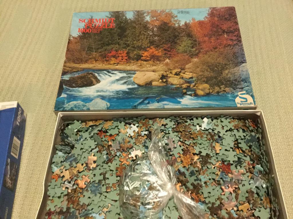 Legpuzzel 1000 stukjes, Hobby en Vrije tijd, Denksport en Puzzels, Ophalen of Verzenden, 500 t/m 1500 stukjes, Zo goed als nieuw