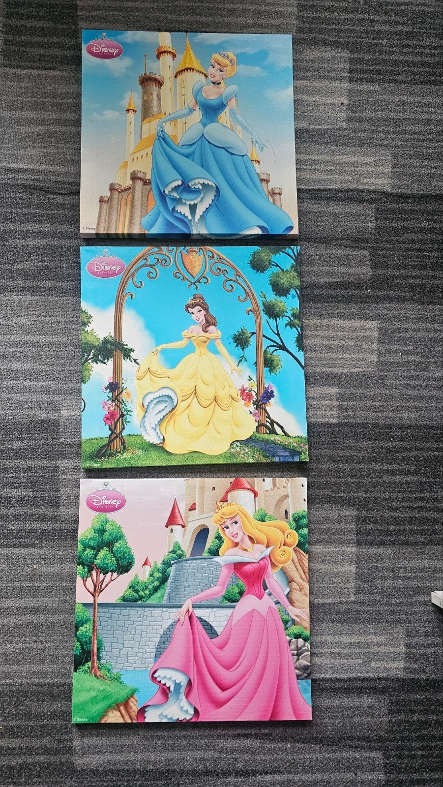 Disney Prinsessen Canvas Schilderijen 35x35 cm, Ophalen, Minder dan 50 cm, Zo goed als nieuw, Schilderij