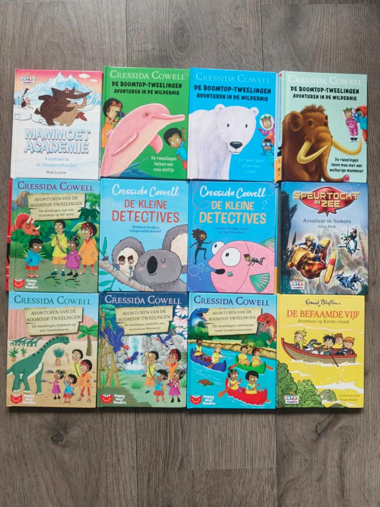 Grote collectie kinderboeken: Cressida Cowell, Enid Blyton, Boeken, Kinderboeken | Jeugd | onder 10 jaar, Ophalen of Verzenden