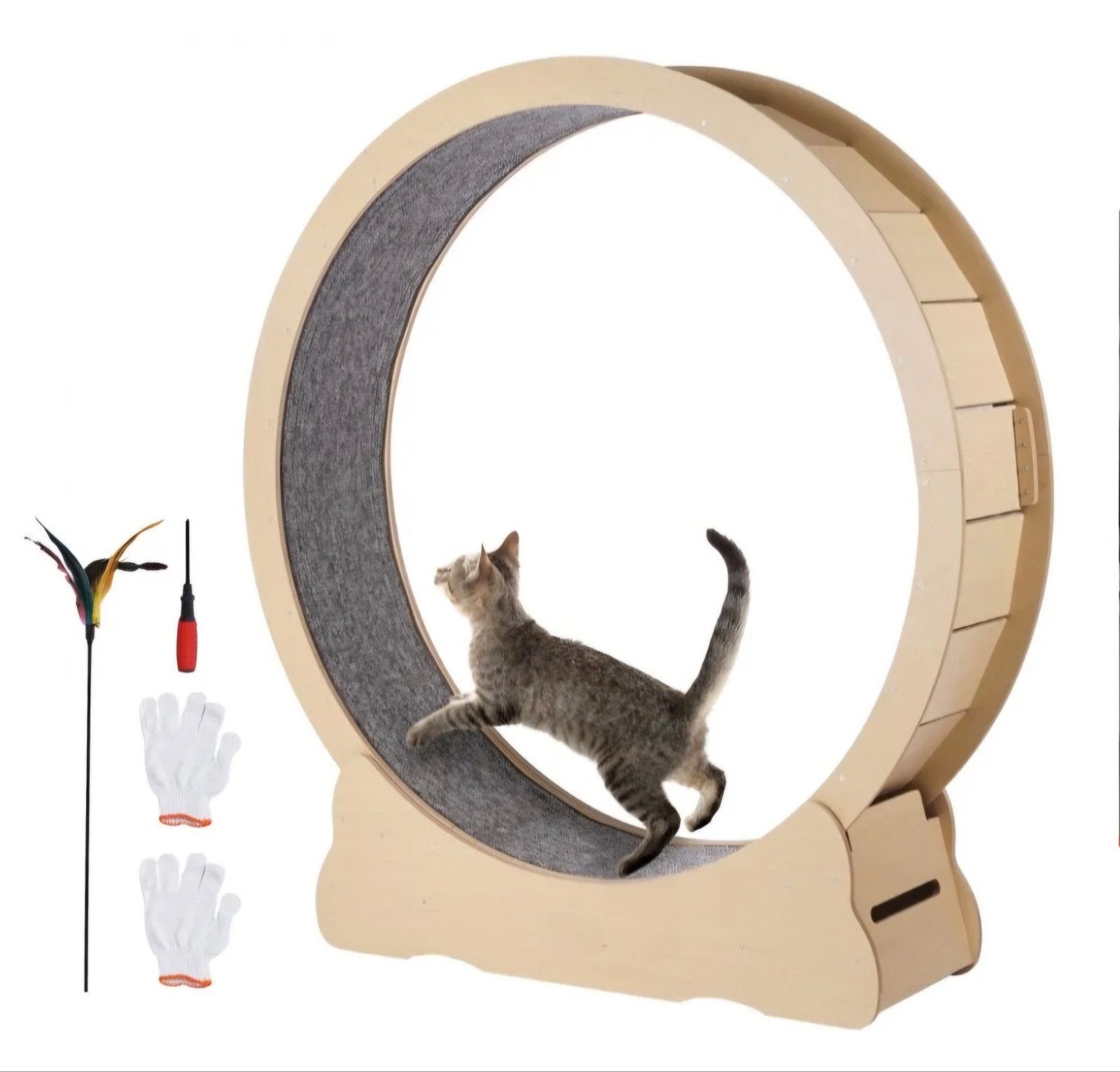 Grootste formaat kattenwiel speciaal voor grote katten, Ophalen, Nieuw, Overig speelgoed