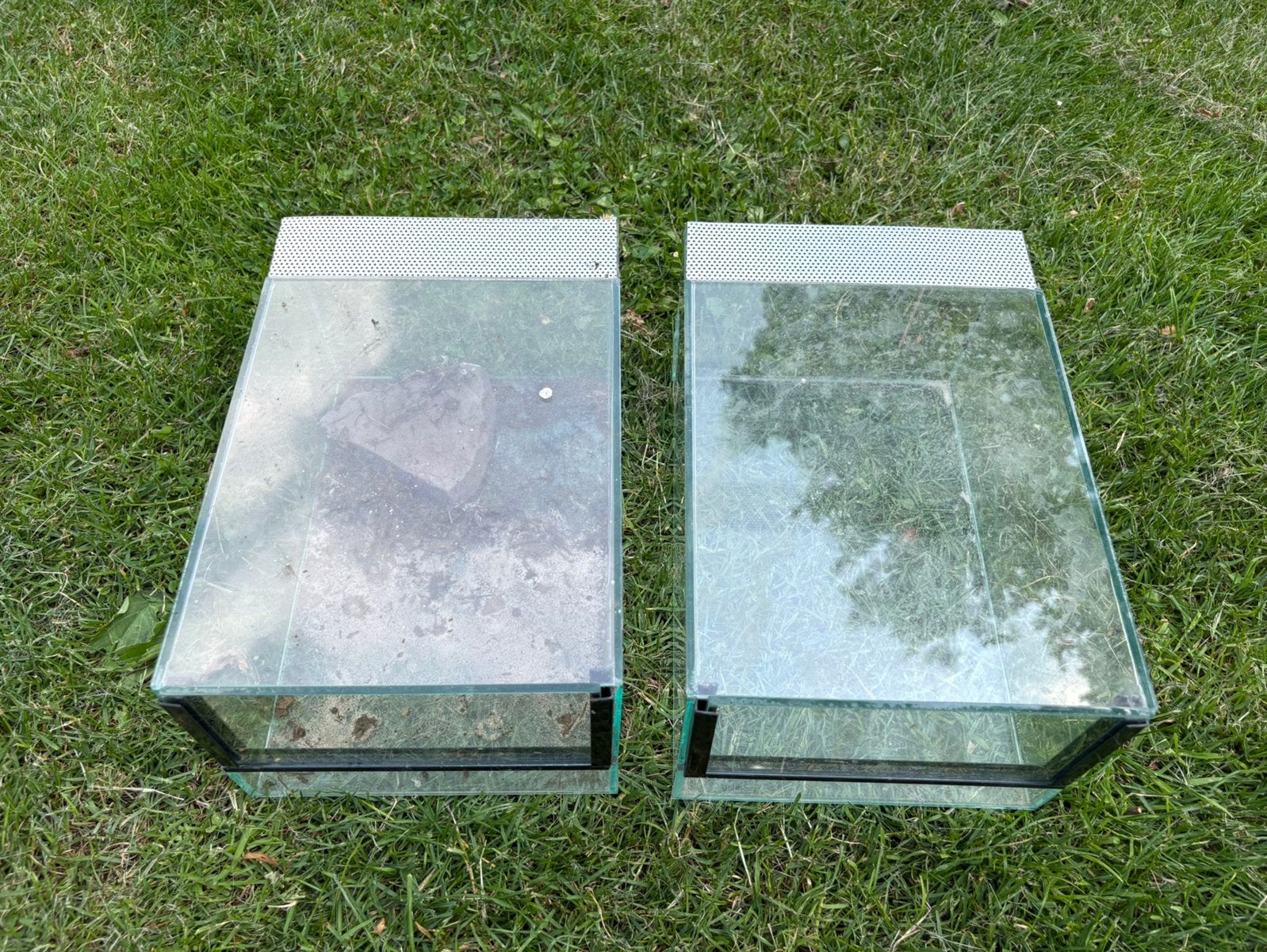 Spinnenbakje spinnenterrarium, Dieren en Toebehoren, Ophalen, Zo goed als nieuw