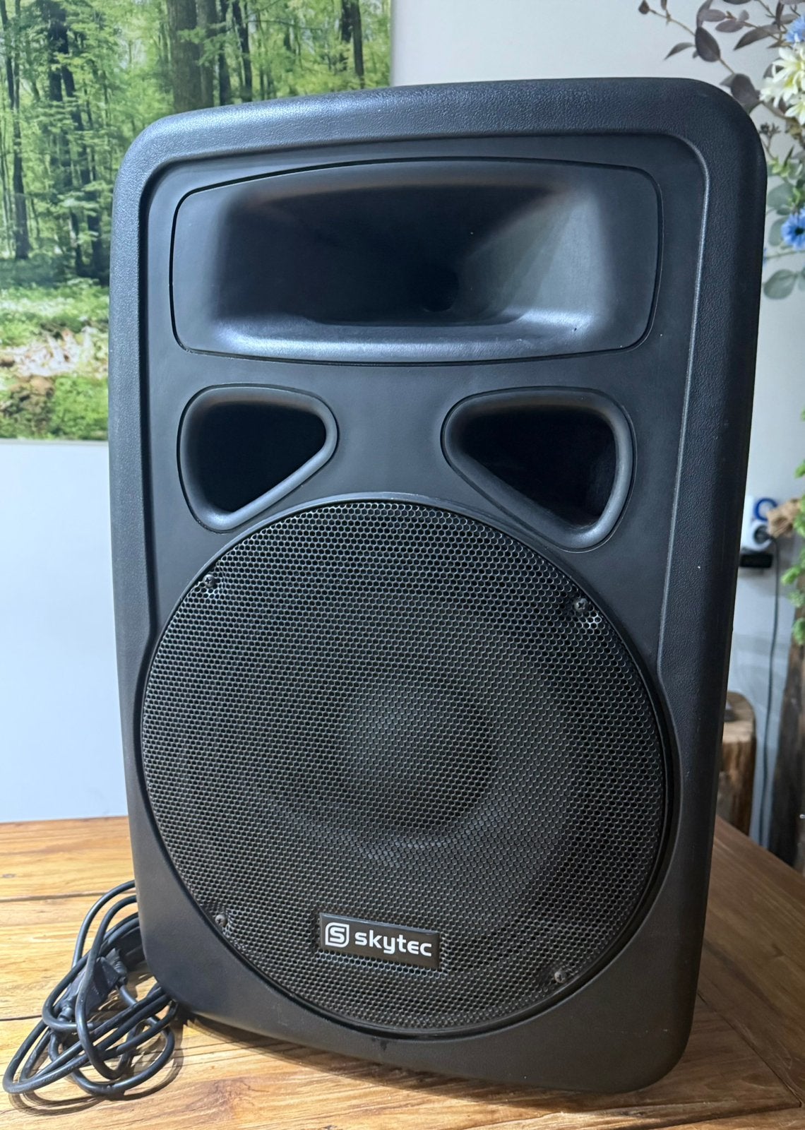 Skytec 170.313 Actieve Speaker - Zo goed als nieuw, Overige merken, Overige typen, Ophalen of Verzenden, Zo goed als nieuw