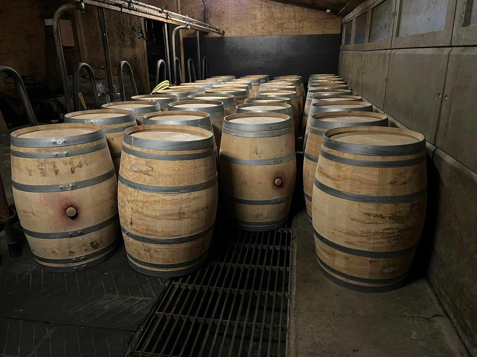 Regenton eiken wijnvat whiskyvat wateropvang waterton, Tuin en Terras, Regentonnen, Gerard Krale, Nieuw, Ophalen of Verzenden