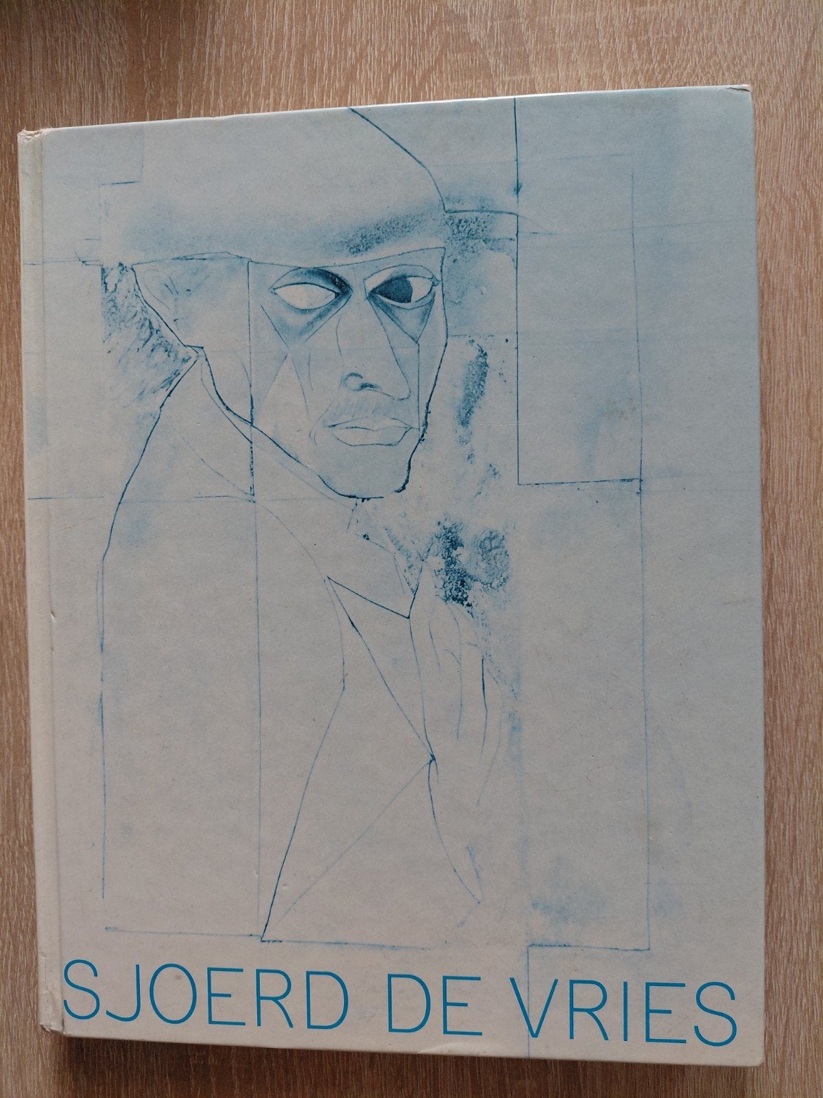 Sjoerd de Vries - Kunstboek met illustraties, Boeken, Ophalen of Verzenden, Gelezen, Schilder- en Tekenkunst, Sjoerd de Vries