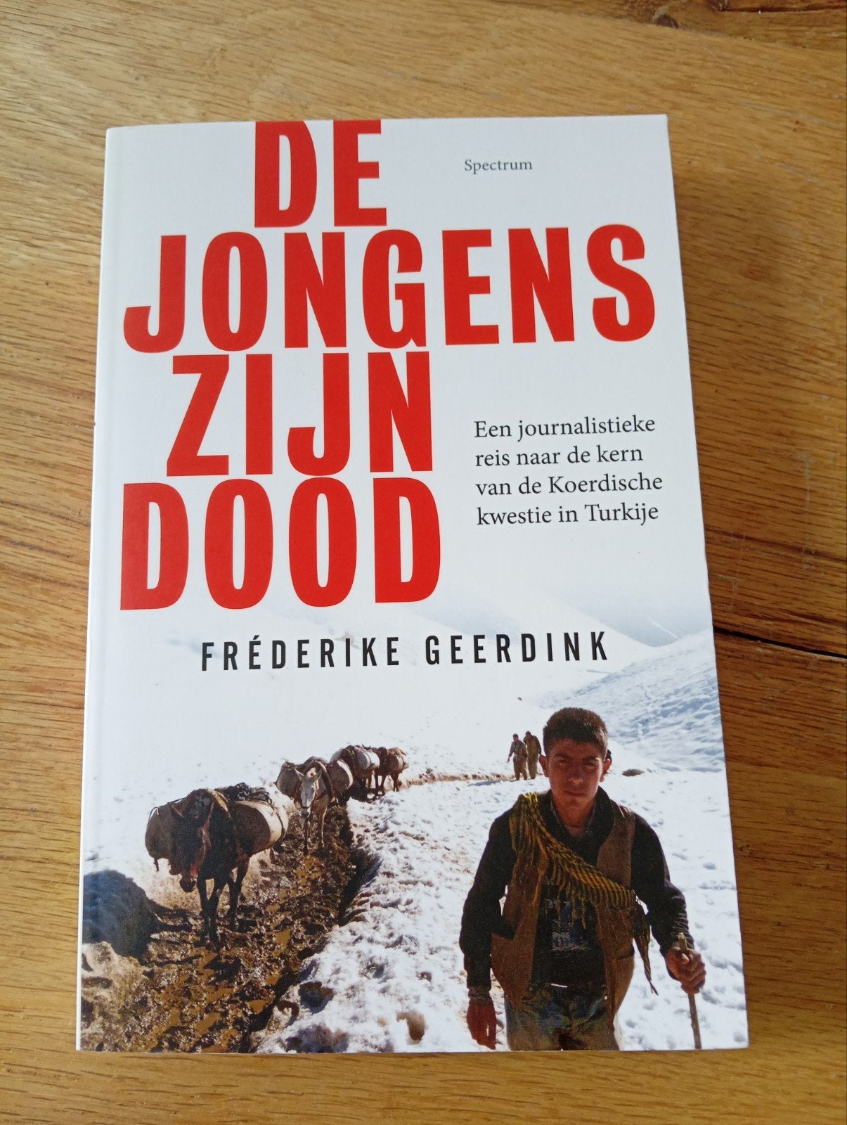 De Jongens Zijn Dood - Fréderike Geerdink, Ophalen of Verzenden, Zo goed als nieuw, Nederland, Fréderike Geerdink